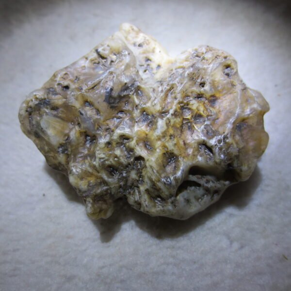 natural gobi skeleton stone (ji gu stone), boxwork ventifact, desert viewing stone (u05）