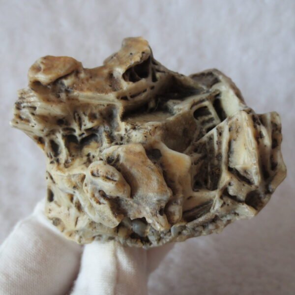 natural gobi skeleton stone (ji gu stone), boxwork ventifact, desert viewing stone (u06）