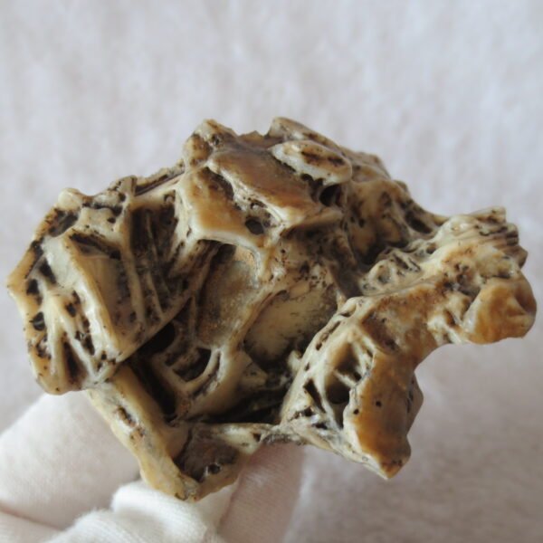 natural gobi skeleton stone (ji gu stone), boxwork ventifact, desert viewing stone (u06）