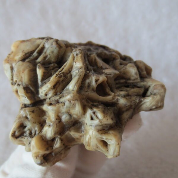 natural gobi skeleton stone (ji gu stone), boxwork ventifact, desert viewing stone (u06）
