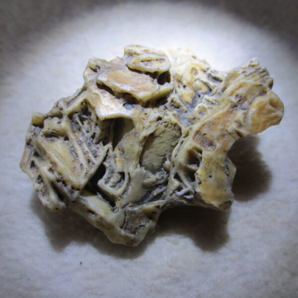 natural gobi skeleton stone (ji gu stone), boxwork ventifact, desert viewing stone (u06）