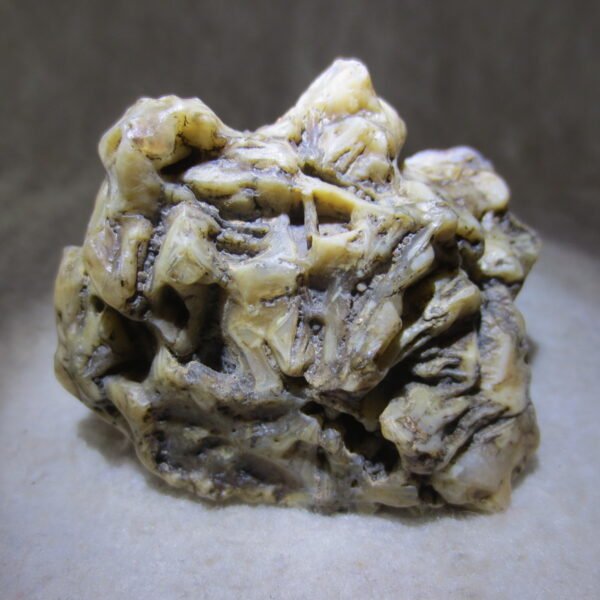 natural gobi skeleton stone (ji gu stone), boxwork ventifact, desert viewing stone (u06）