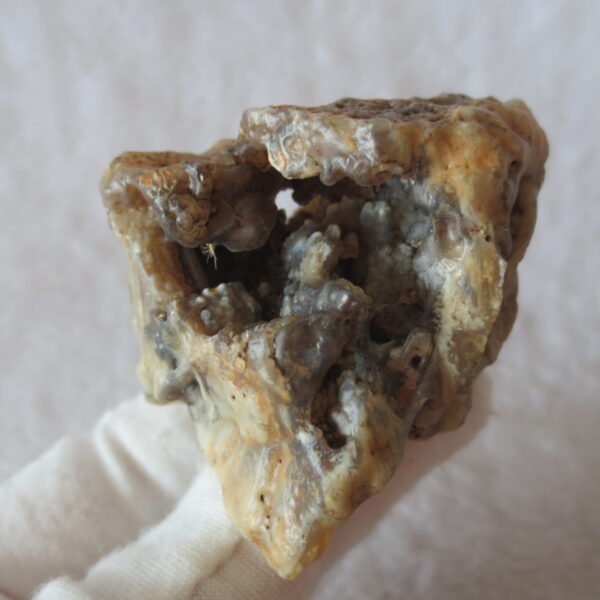 natural gobi skeleton stone (ji gu stone), boxwork ventifact, desert viewing stone (u07）