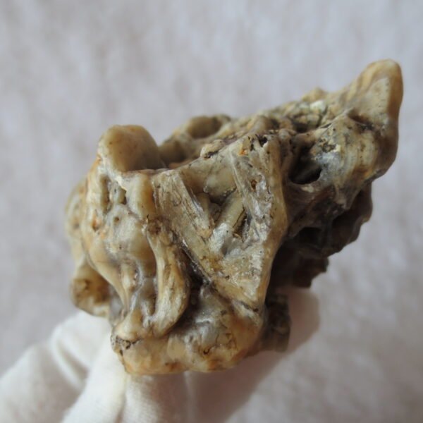 natural gobi skeleton stone (ji gu stone), boxwork ventifact, desert viewing stone (u07）