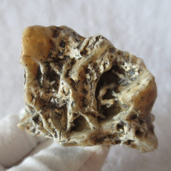 natural gobi skeleton stone (ji gu stone), boxwork ventifact, desert viewing stone (u07）