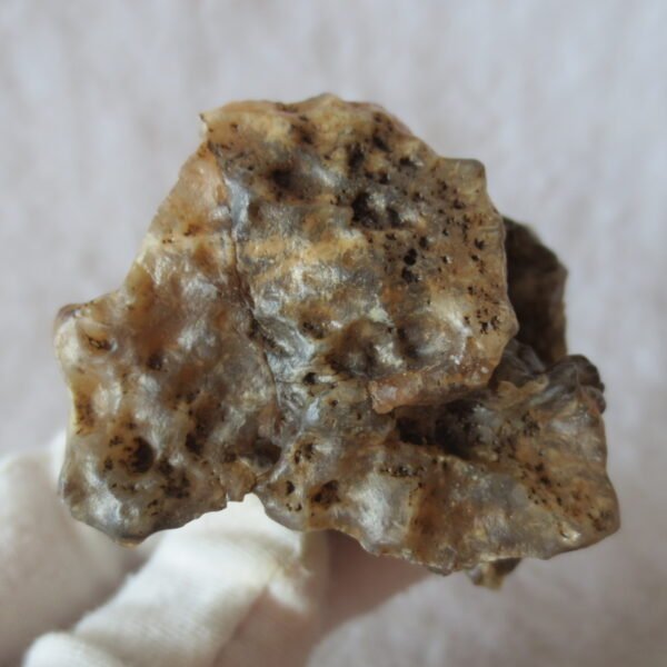 natural gobi skeleton stone (ji gu stone), boxwork ventifact, desert viewing stone (u07）
