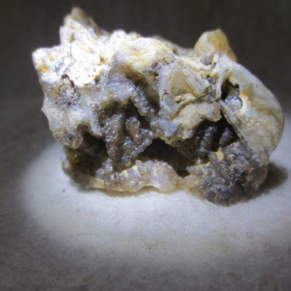 natural gobi skeleton stone (ji gu stone), boxwork ventifact, desert viewing stone (u07）