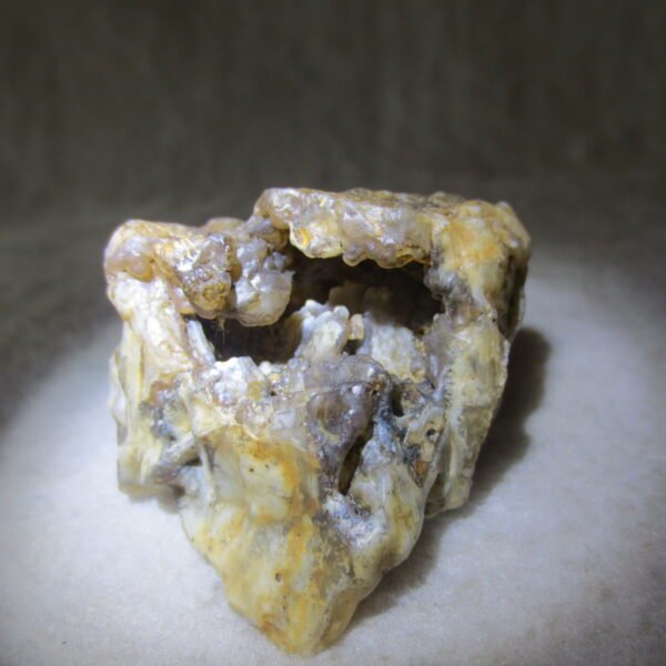 natural gobi skeleton stone (ji gu stone), boxwork ventifact, desert viewing stone (u07）