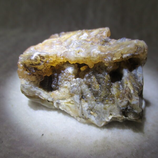 natural gobi skeleton stone (ji gu stone), boxwork ventifact, desert viewing stone (u07）