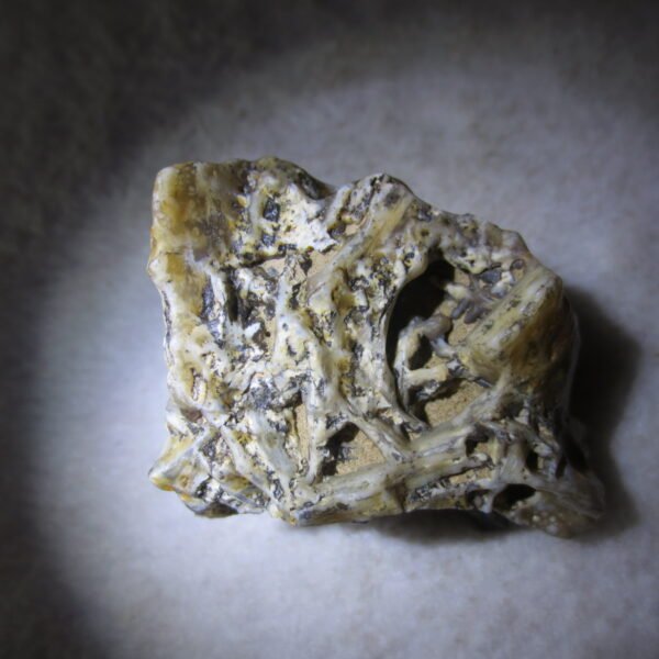 natural gobi skeleton stone (ji gu stone), boxwork ventifact, desert viewing stone (u07）