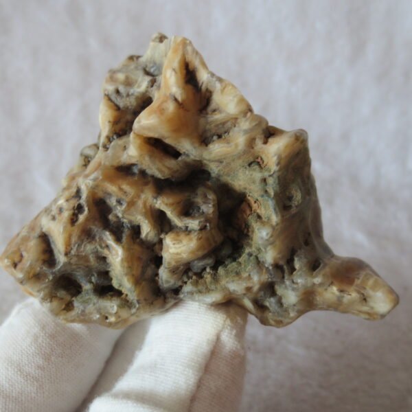 natural gobi skeleton stone (ji gu stone), boxwork ventifact, desert viewing stone (u08）