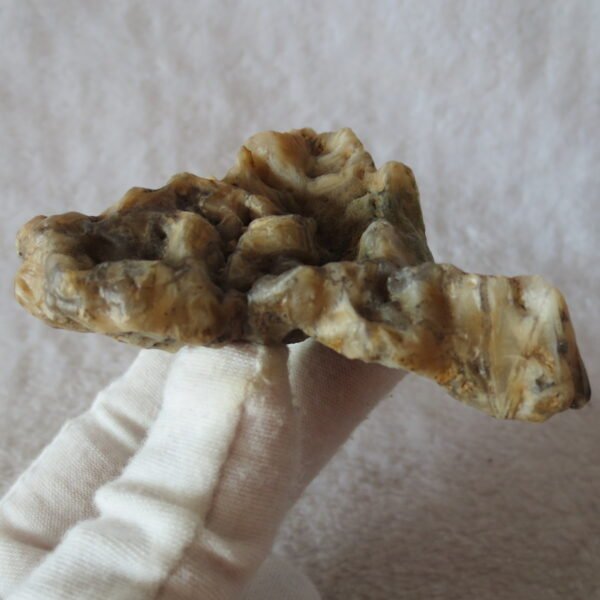 natural gobi skeleton stone (ji gu stone), boxwork ventifact, desert viewing stone (u08）