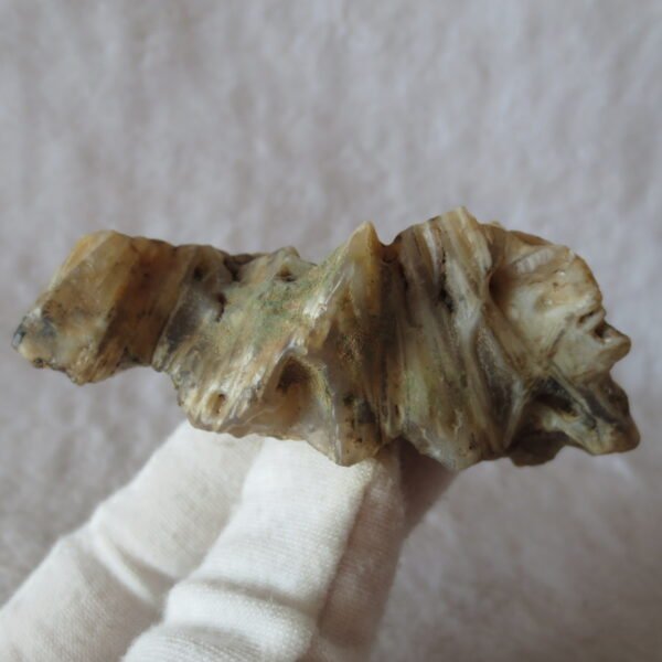natural gobi skeleton stone (ji gu stone), boxwork ventifact, desert viewing stone (u08）