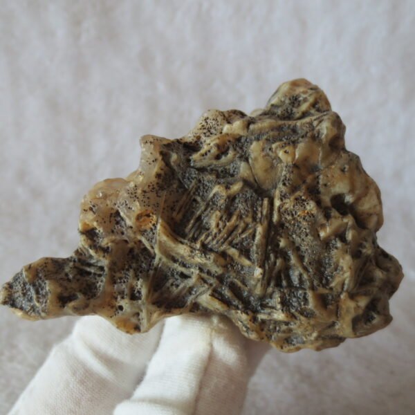 natural gobi skeleton stone (ji gu stone), boxwork ventifact, desert viewing stone (u08）