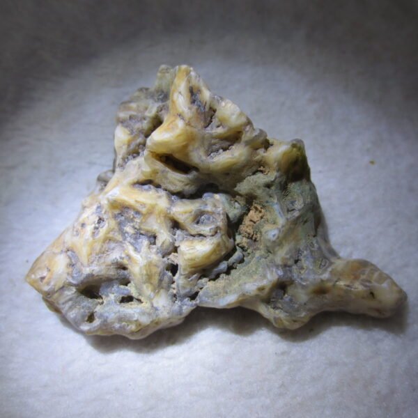 natural gobi skeleton stone (ji gu stone), boxwork ventifact, desert viewing stone (u08）