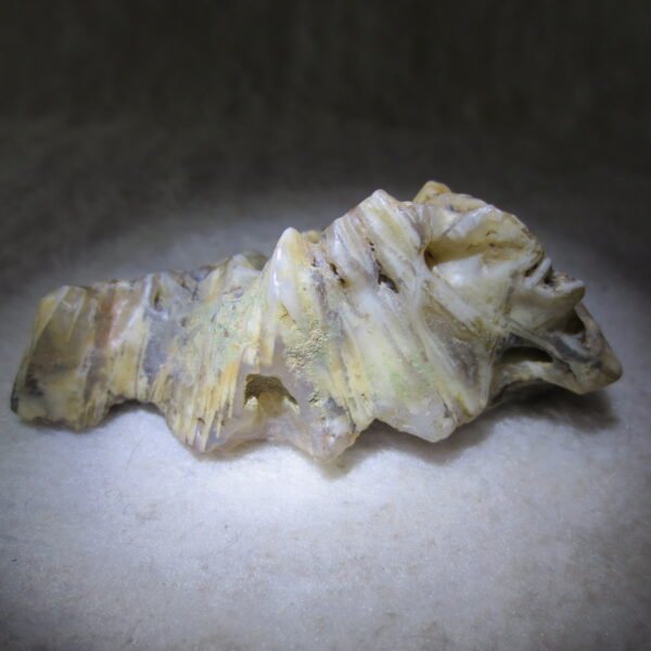 natural gobi skeleton stone (ji gu stone), boxwork ventifact, desert viewing stone (u08）