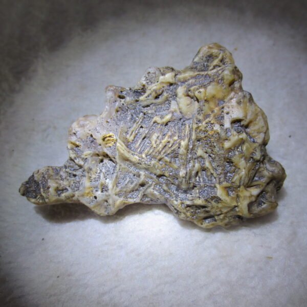 natural gobi skeleton stone (ji gu stone), boxwork ventifact, desert viewing stone (u08）