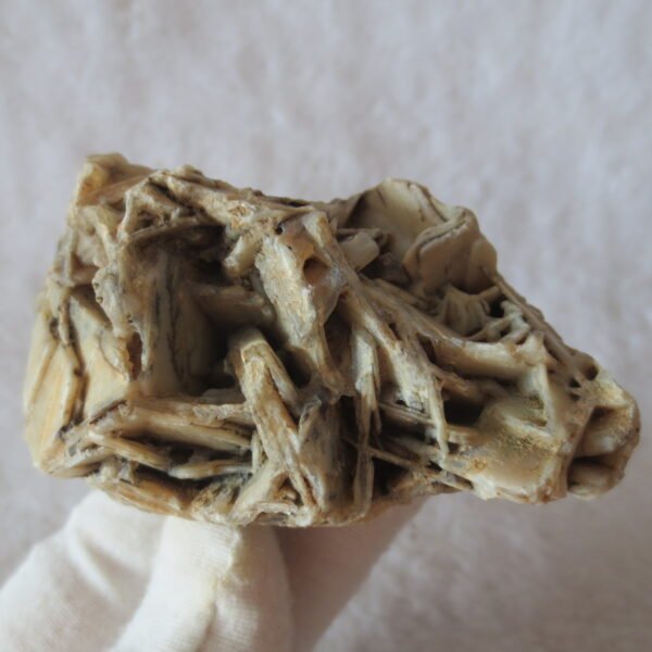 natural gobi skeleton stone (ji gu stone), boxwork ventifact, desert viewing stone (u09）