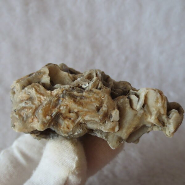 natural gobi skeleton stone (ji gu stone), boxwork ventifact, desert viewing stone (u09）
