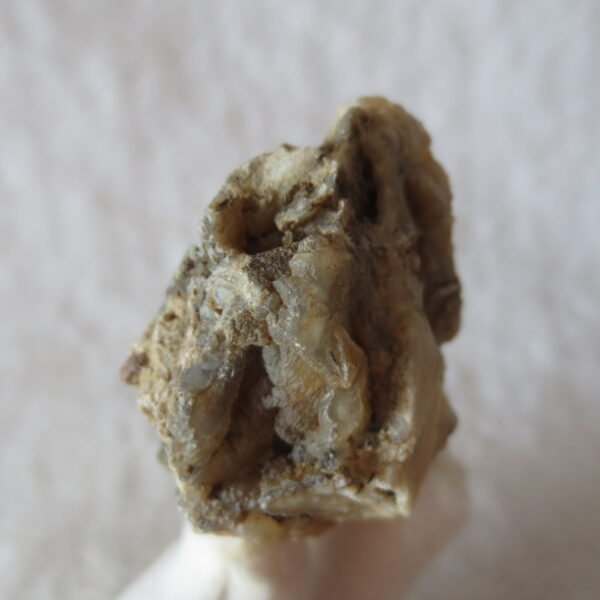 natural gobi skeleton stone (ji gu stone), boxwork ventifact, desert viewing stone (u09）