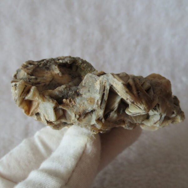 natural gobi skeleton stone (ji gu stone), boxwork ventifact, desert viewing stone (u09）