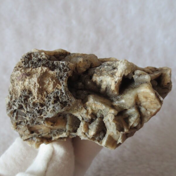 natural gobi skeleton stone (ji gu stone), boxwork ventifact, desert viewing stone (u09）