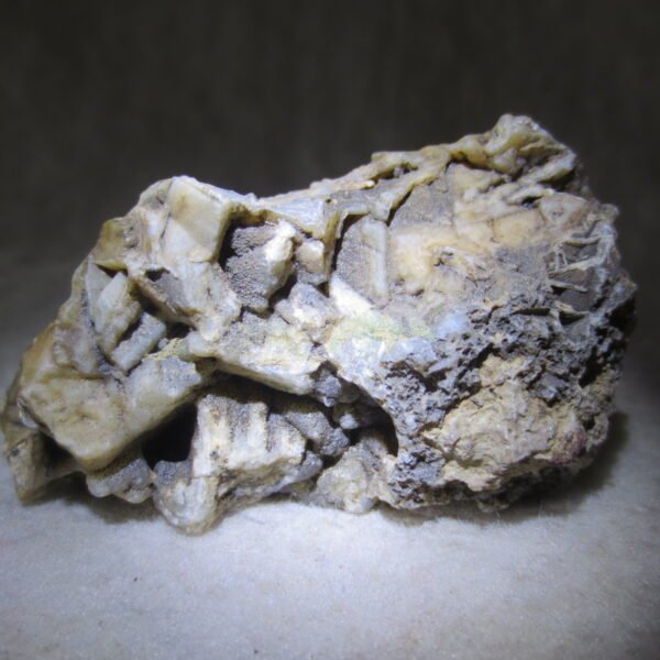 natural gobi skeleton stone (ji gu stone), boxwork ventifact, desert viewing stone (u09）