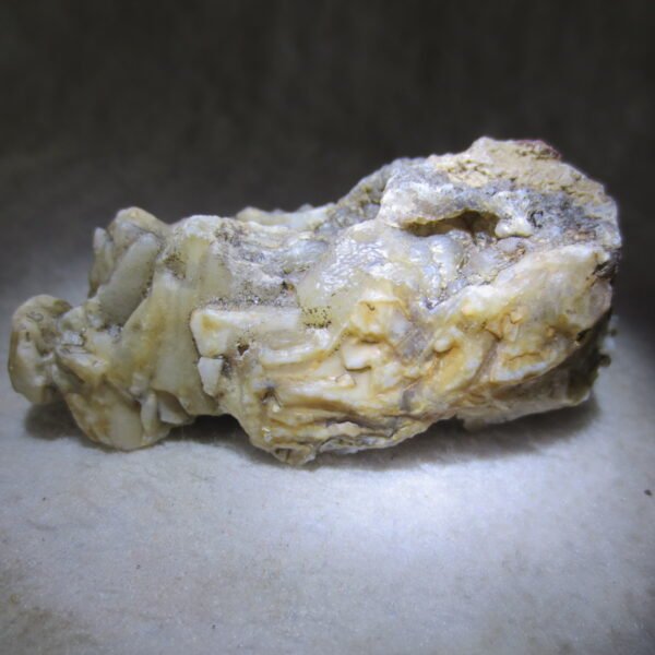 natural gobi skeleton stone (ji gu stone), boxwork ventifact, desert viewing stone (u09）