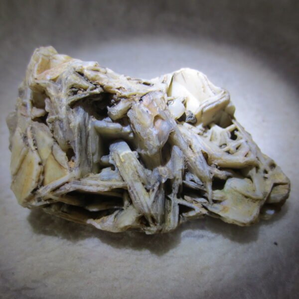 natural gobi skeleton stone (ji gu stone), boxwork ventifact, desert viewing stone (u09）