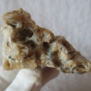 natural gobi skeleton stone (ji gu stone), boxwork ventifact, desert viewing stone (u10）
