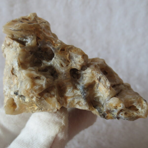 natural gobi skeleton stone (ji gu stone), boxwork ventifact, desert viewing stone (u10）