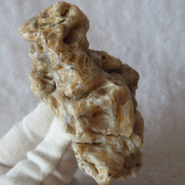 natural gobi skeleton stone (ji gu stone), boxwork ventifact, desert viewing stone (u10）