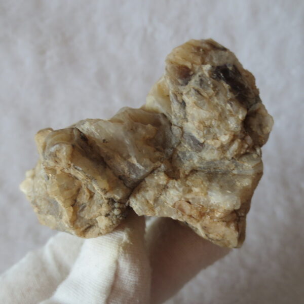 natural gobi skeleton stone (ji gu stone), boxwork ventifact, desert viewing stone (u10）