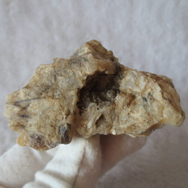 natural gobi skeleton stone (ji gu stone), boxwork ventifact, desert viewing stone (u10）