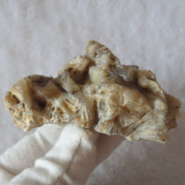 natural gobi skeleton stone (ji gu stone), boxwork ventifact, desert viewing stone (u10）