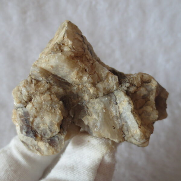 natural gobi skeleton stone (ji gu stone), boxwork ventifact, desert viewing stone (u10）
