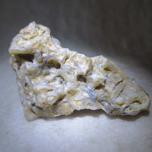 natural gobi skeleton stone (ji gu stone), boxwork ventifact, desert viewing stone (u10）