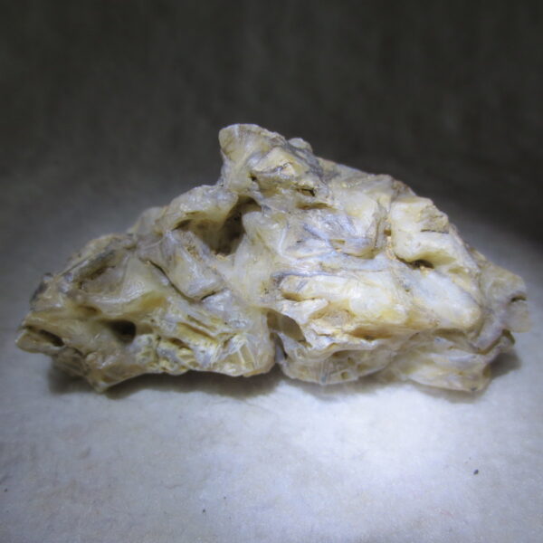 natural gobi skeleton stone (ji gu stone), boxwork ventifact, desert viewing stone (u10）