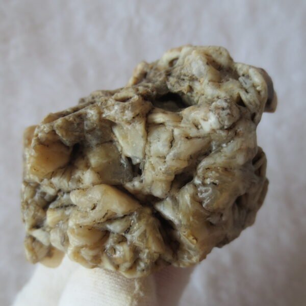 natural gobi skeleton stone (ji gu stone), boxwork ventifact, desert viewing stone (u10） (copy)