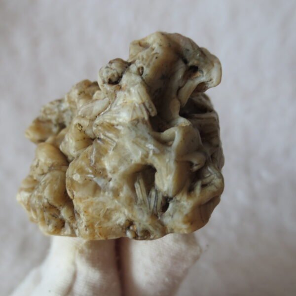 natural gobi skeleton stone (ji gu stone), boxwork ventifact, desert viewing stone (u10） (copy)