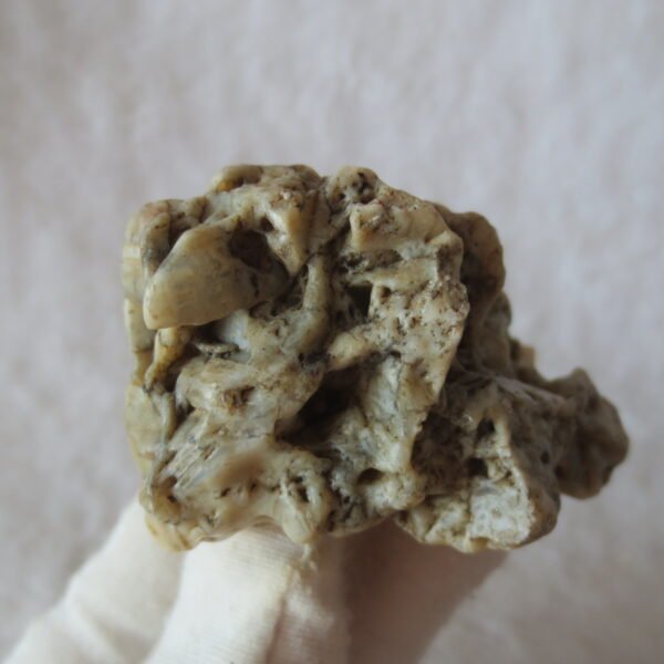 natural gobi skeleton stone (ji gu stone), boxwork ventifact, desert viewing stone (u10） (copy)