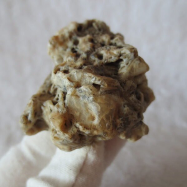 natural gobi skeleton stone (ji gu stone), boxwork ventifact, desert viewing stone (u10） (copy)