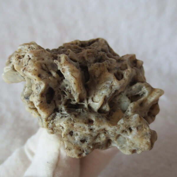 natural gobi skeleton stone (ji gu stone), boxwork ventifact, desert viewing stone (u10） (copy)