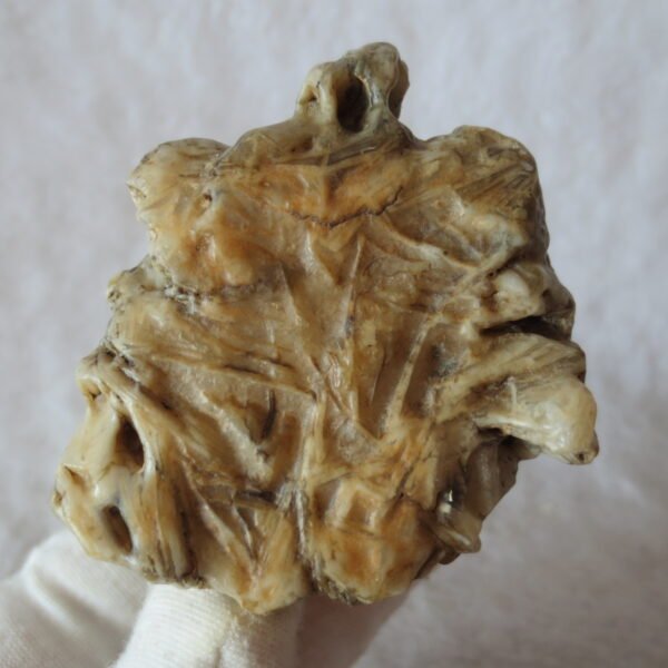 natural gobi skeleton stone (ji gu stone), boxwork ventifact, desert viewing stone (u10） (copy)