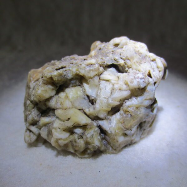 natural gobi skeleton stone (ji gu stone), boxwork ventifact, desert viewing stone (u10） (copy)