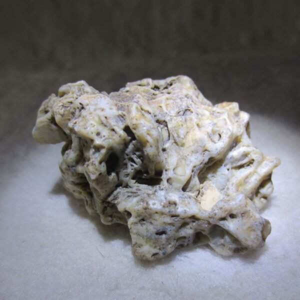 natural gobi skeleton stone (ji gu stone), boxwork ventifact, desert viewing stone (u10） (copy)