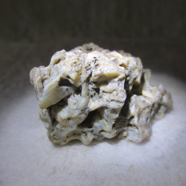 natural gobi skeleton stone (ji gu stone), boxwork ventifact, desert viewing stone (u10） (copy)