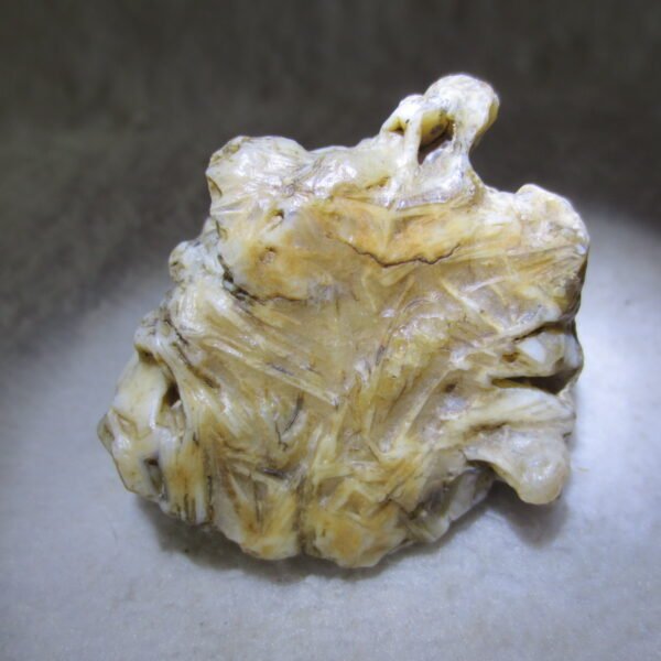 natural gobi skeleton stone (ji gu stone), boxwork ventifact, desert viewing stone (u10） (copy)