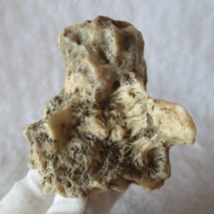 natural gobi skeleton stone (ji gu stone), boxwork ventifact, desert viewing stone (u11） (copy)