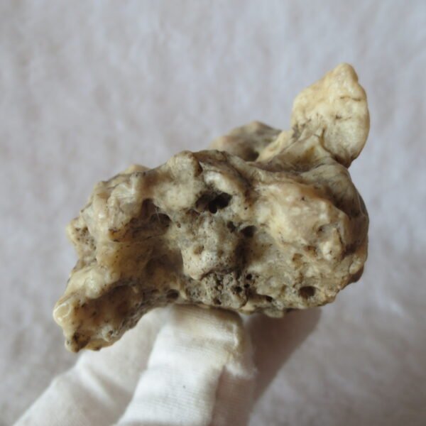 natural gobi skeleton stone (ji gu stone), boxwork ventifact, desert viewing stone (u11） (copy)